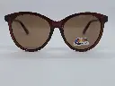ASPC10001 MARRON-OPA MARRON PASTA MARRON FRENTE FG8079.webp