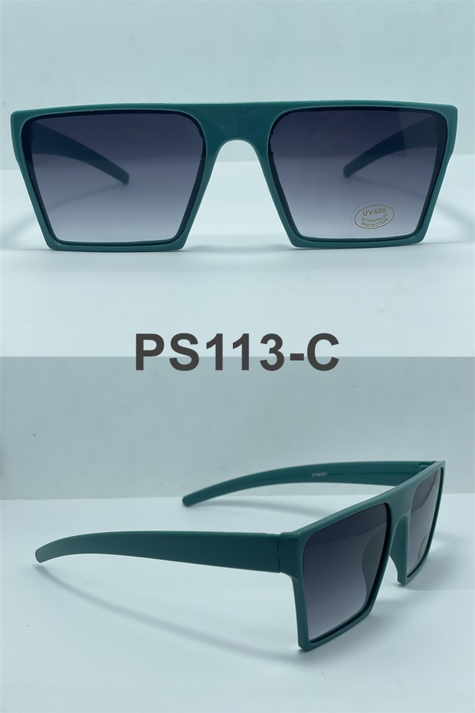 [2463] GAFAS DE SOL-2463 PS113-C UV400