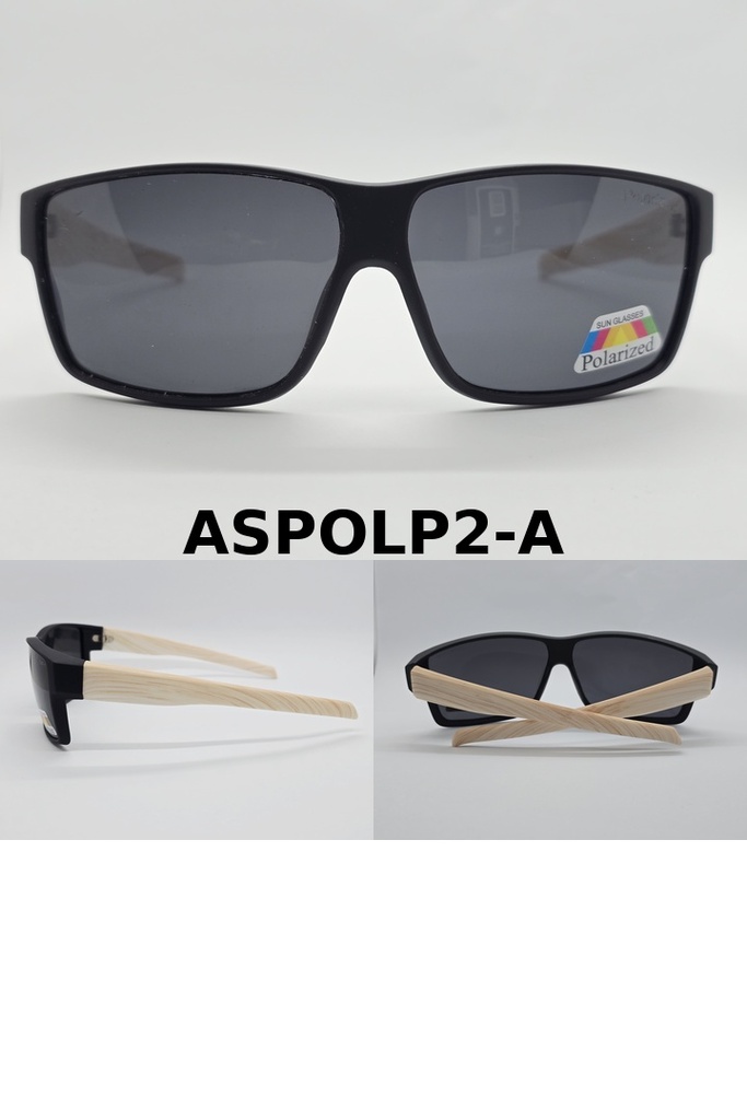 Anteojos de SOL Polarizados UV400 PREMIUM POLP2