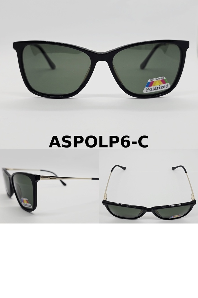 Anteojos de SOL Polarizados UV400 PREMIUM POLP6