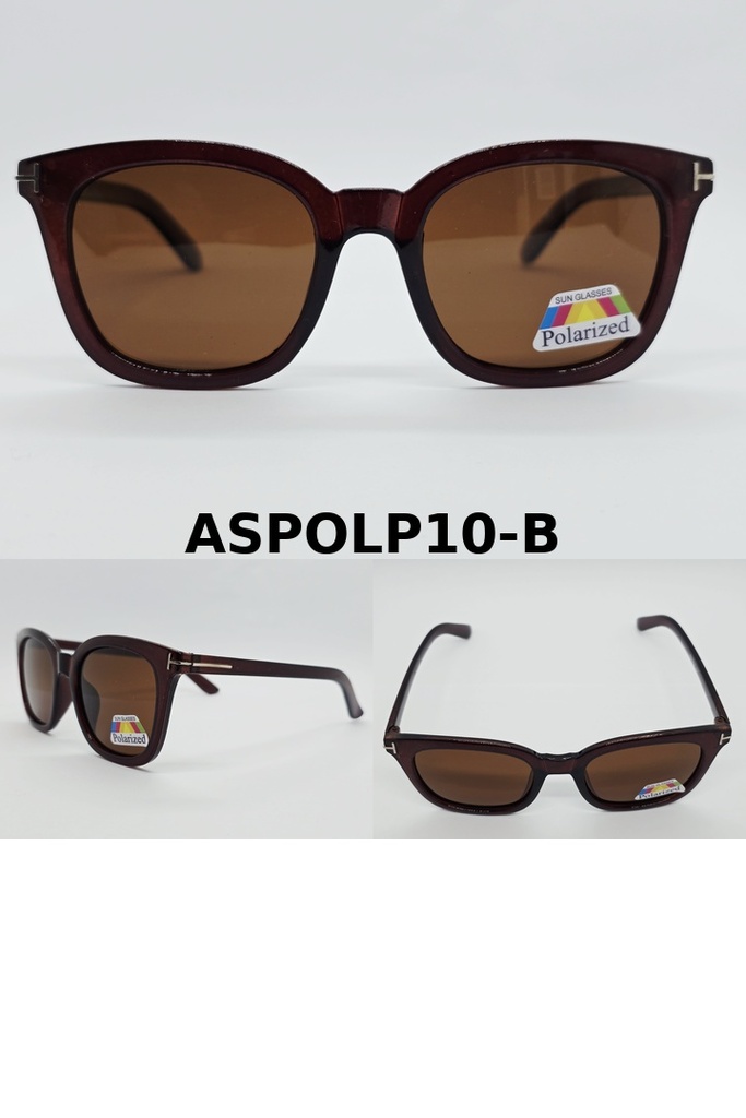 Anteojos de SOL Polarizados UV400 PREMIUM POLP10